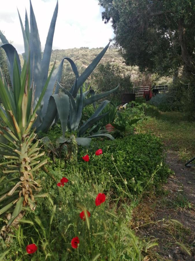 Arcadia Eressos Hotell Eksteriør bilde